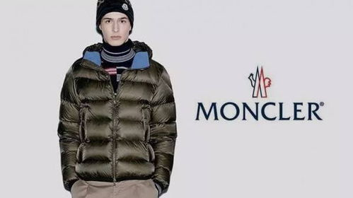 一、奢侈品牌羽绒服的设计理念