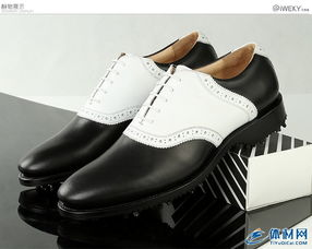 一、奢侈品男鞋的象征意义