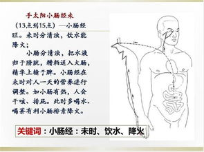 一、了解自己的身体类型