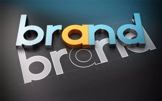 二、品牌影响力