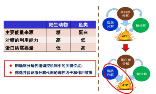 三、如何利用十大品牌网进行选购