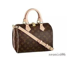 一、LV包包的历史渊源