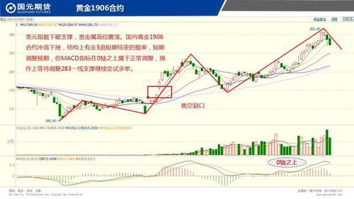 二、热门商品与市场趋势