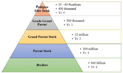 二、评估自身能力