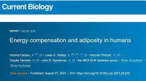 三、研究项目细节