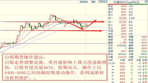 三、价格竞争力与市场趋势
