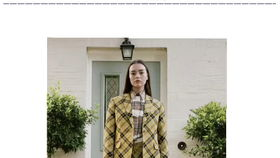 三、时尚款式的设计