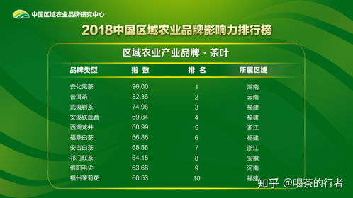 一、品牌概述与影响力