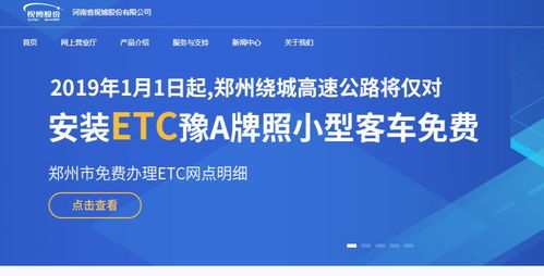 三、如何选择合适的定制服务