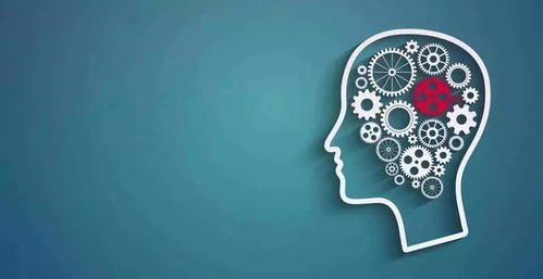 一、经典图案的选择与应用