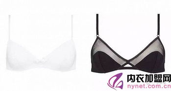 二、国内好穿不贵的文胸品牌