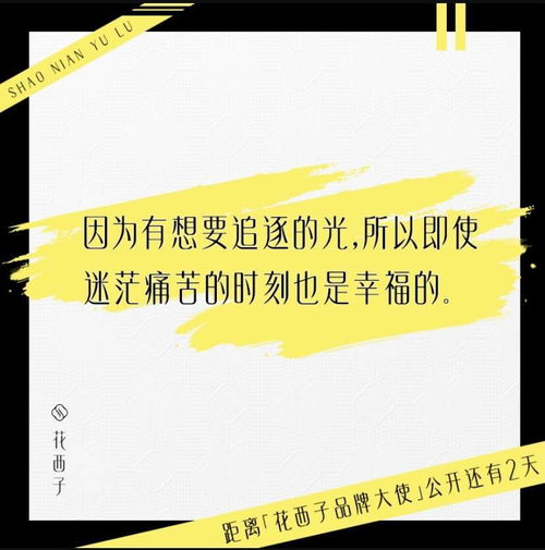 一、品牌历史与口碑积累