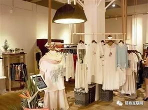 二、垂直服装电商的专业性