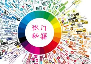 三、品牌特点与适用人群