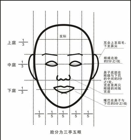 三、如何测量身体尺寸