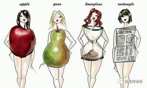 一、了解自己的体型