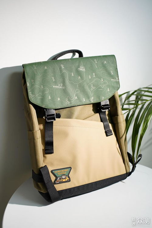 一、LV背包双肩包的设计理念