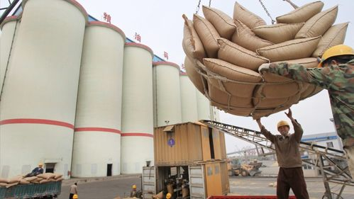 三、设备费用与原材料费用