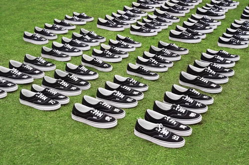 一、Vans品牌的历史与发展