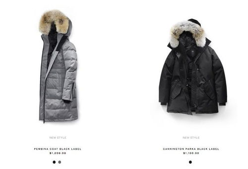 二、国产羽绒服品牌的历史与发展