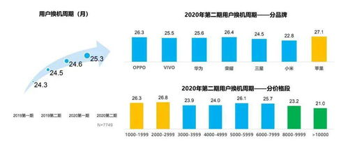 二、品牌选择的重要性