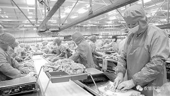 二、农产品加工与销售