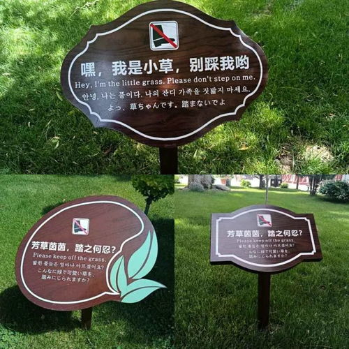 三、服务品质与客户体验