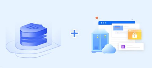 二、如何选择优质批发商