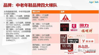 三、国内潮流衣服品牌的发展现状