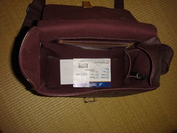 三、LV Taiga系列