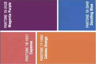 二、流行色系的运用