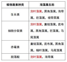 二、选择免费加盟餐饮项目的关键因素