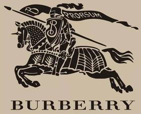 一、国际奢侈品牌衣服的特点与价值