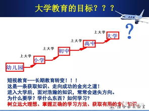 一、官网概述与定位