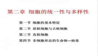 二、内容丰富性与多样性