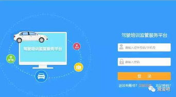 二、在线批发平台：方便快捷的选择