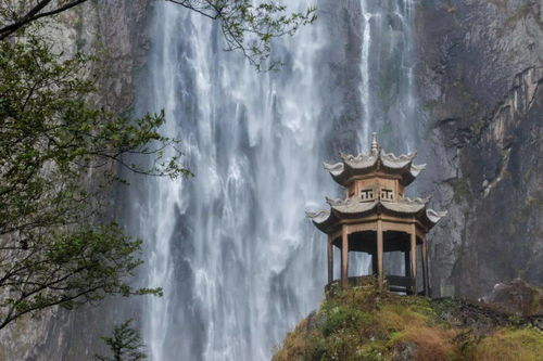 三、个性化推荐与搭配建议