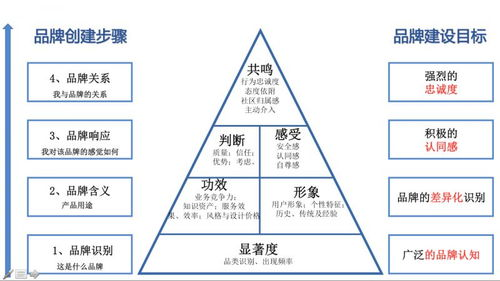 二、鞋网平台的运营策略
