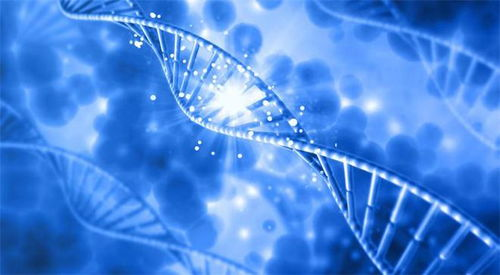 二、生物科技与基因编辑