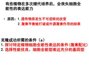 二、设计技能培养