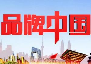 一、国内品牌篇