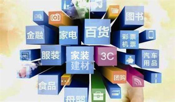 二、垂直电商平台的精准与专业