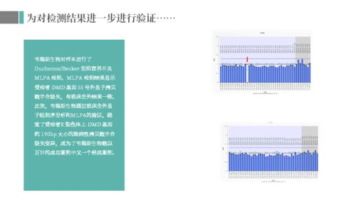 二、缓震技术的应用