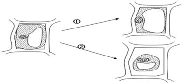三、不同运动类型的舒适选择