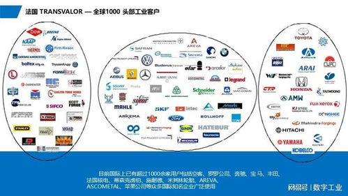 二、产品质量与创新能力