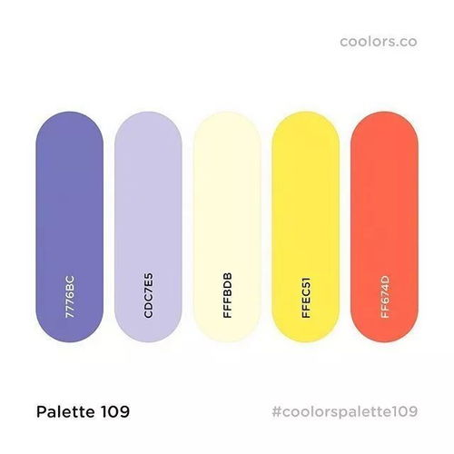 三、颜色与款式丰富