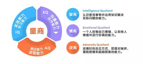 二、教育加盟店排行榜：市场需求与教育资源整合