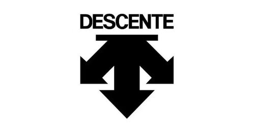 二、迪桑特产品功能性与设计