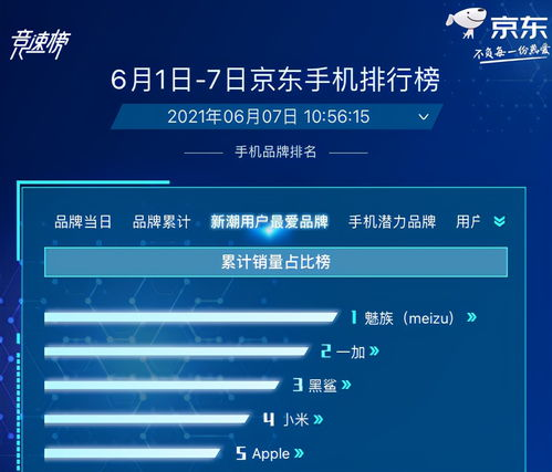 二、品牌选择要点