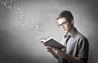 一、9277免费高清在线观看平台的特点